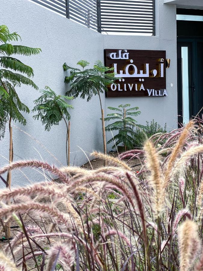 Olivia Chalet فلة أوليفيا Villa Al 'Aqar Exteriör bild